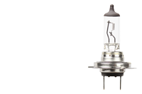 BULBS